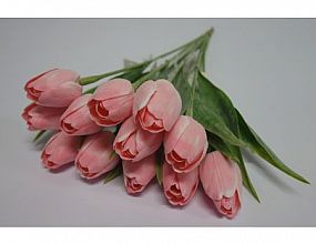 Ed/Tulip C1 pink A1049