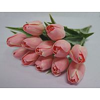 Ed/Tulip C1 pink-white 1448