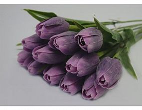 Ed/Tulip C8 TT Purple 1140